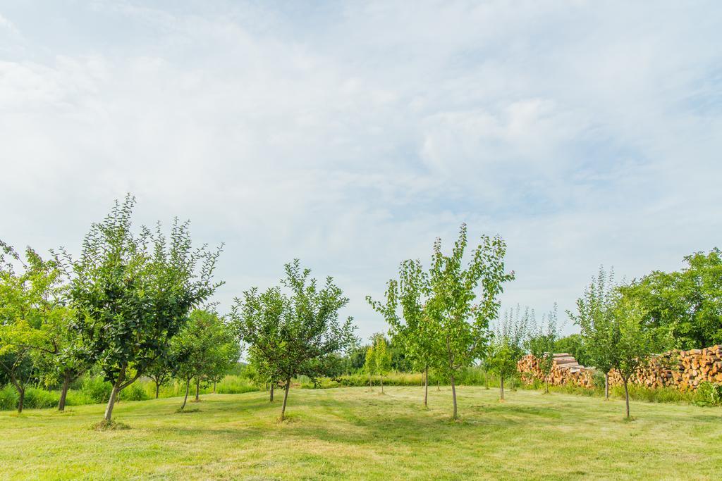 Garden Holiday Home Drenje  Экстерьер фото